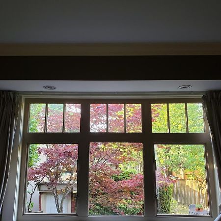 Elegant, Sunny Modern Home With Skylights - Kitsilano, Vancouver Zewnętrze zdjęcie